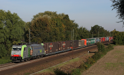 486 501 [BLS] | bei Heppenheim | 03.10.2013 | #23144